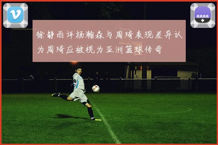 徐静雨评杨瀚森与周琦表现差异认为周琦应被视为亚洲篮球传奇